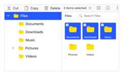 Multiple file selection in Vue File Manager.