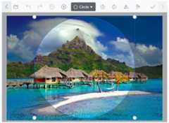 Vue Image Editor circle selection
