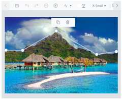 Vue Image Editor path