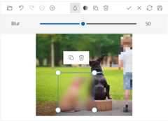 Vue Image Editor Redact