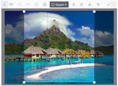 Vue Image Editor square selection