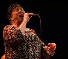 Das ist das Programm des GA-Sommergartens