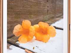 Jahresgaben 2026: Wie Viktor Neumann den Bonner Kunstverein neu ausrichtet