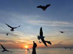 Sommerurlaub gefragt: Dertour meldet starkes Buchungsplus