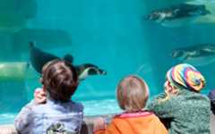 Besuche im Wildpark sind ein Spaß