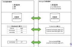 image-20240219083923602