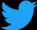 Share on Twitter