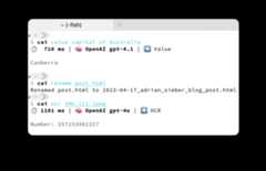Demo usage of cai in a terminal