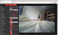 Actually, there are two cats in this image!