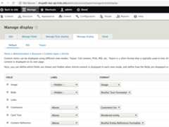 Article Entity Restful formatter