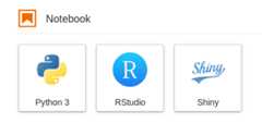launch proxied servers as JupyterLab panels or new browser tabs a screenshot of the JupyterLab Launcher