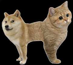 Ambiguity example alt image