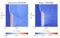 NO-PLIF: experiment vs numerical results