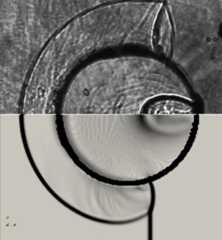 Comparison of experimental and calculated Shlieren fields for the case of blast and droplet interaction