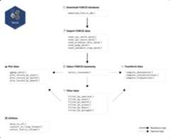 Figure 1: Recommended workflow and main features of forcis