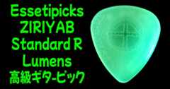 まとめ Essetipicks (エッセティピックス) ZIRIYAB Standard R Lumens レビュー
