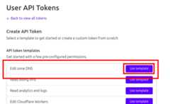 Edit zone DNS Template