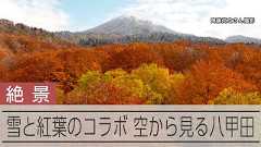 一面の紅葉と銀世界のコラボ ドローンで空から眺める八甲田の絶景