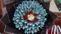 A bouquet made out of blue coloured Kenyan shilling banknotes.