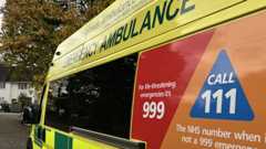 The size of a yellow and green ambulance with the words Emergency Ambulance on the side. A panel has a red background on the side with "For life-threatening emergencies it's 999" written on it and, next to it, on orange, a "Call 111" sign.