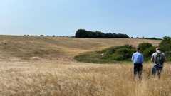 Site of the proposed forest at Hagworthingham. Two people stand with their back to the camera in the foreground in front of a small slope which is covered in yellow grass