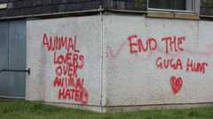 The slogans: "Animal lovers over animal haters" and "End the guga hunt" and a love heart have been sprayed in red paint on a harled wall.