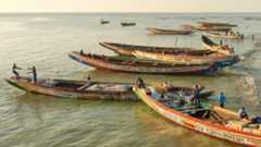 Traditional fishing boats on the river Gambia
