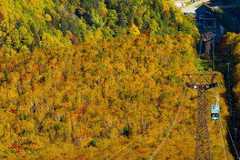 北海道でおすすめの紅葉名所5選!人気スポットで一足早い絶景を満喫