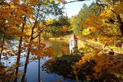 西岡公園の紅葉