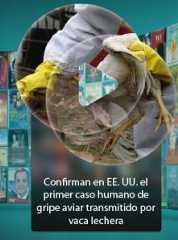 Confirman en EE. UU. el primer caso humano de gripe aviar transmitido por vaca lechera