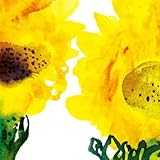 花図鑑(初回限定盤) 花図鑑(初回限定盤)