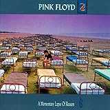 A Momentary Lapse of Reason A Momentary Lapse of Reason