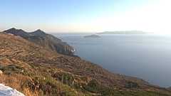 Древняя лоза Сикиноса.