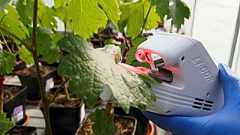 Growing Resilience: How French biotech helps crops save water worldwide