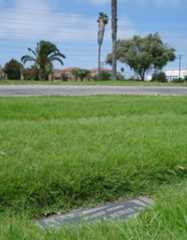 Larger memorial image loading...