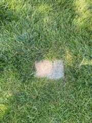 Larger memorial image loading...