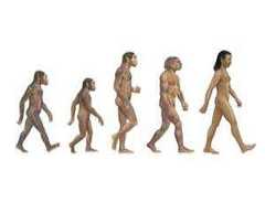 Evolution: 24 myths and misconceptions