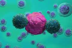 Illustration of CAR T-cell therapy (green) attacking a cancer cell (pink)