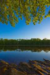 Dear Maine's Congressional Delegation