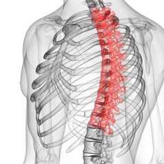 【アメリカ発の人気エクサ】凝り固まった背中・猫背をほぐして正しい姿勢に!簡単「胸椎ストレッチ」