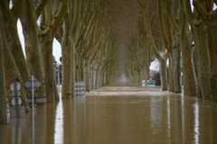 La Garonne en crue à Tonneins (Lot-et-Garonne), le 13 février 2026.