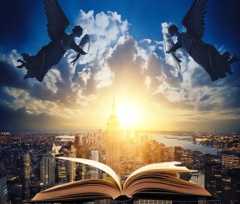 12月ウェビナーの予定