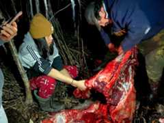 OilSands_MooseHunt-6911