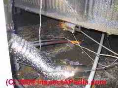Mobile home crawl space (C) Daniel Friedman