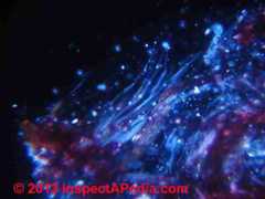 Armstrong asbestos floor tile under the microscope (C) Daniel Friedman