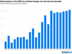 Thousands of hectares of primary forest loss in the DRC from 2001-22