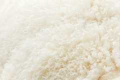 Entretien de la laine