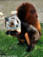 68d100ab82fb8_bu4hyyksf57a1__880