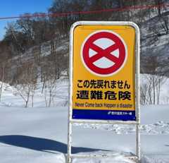 695d0e925988a_funny-japanese-tra