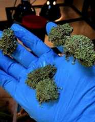 68d1035dd1e95_Aj9RfVs__880